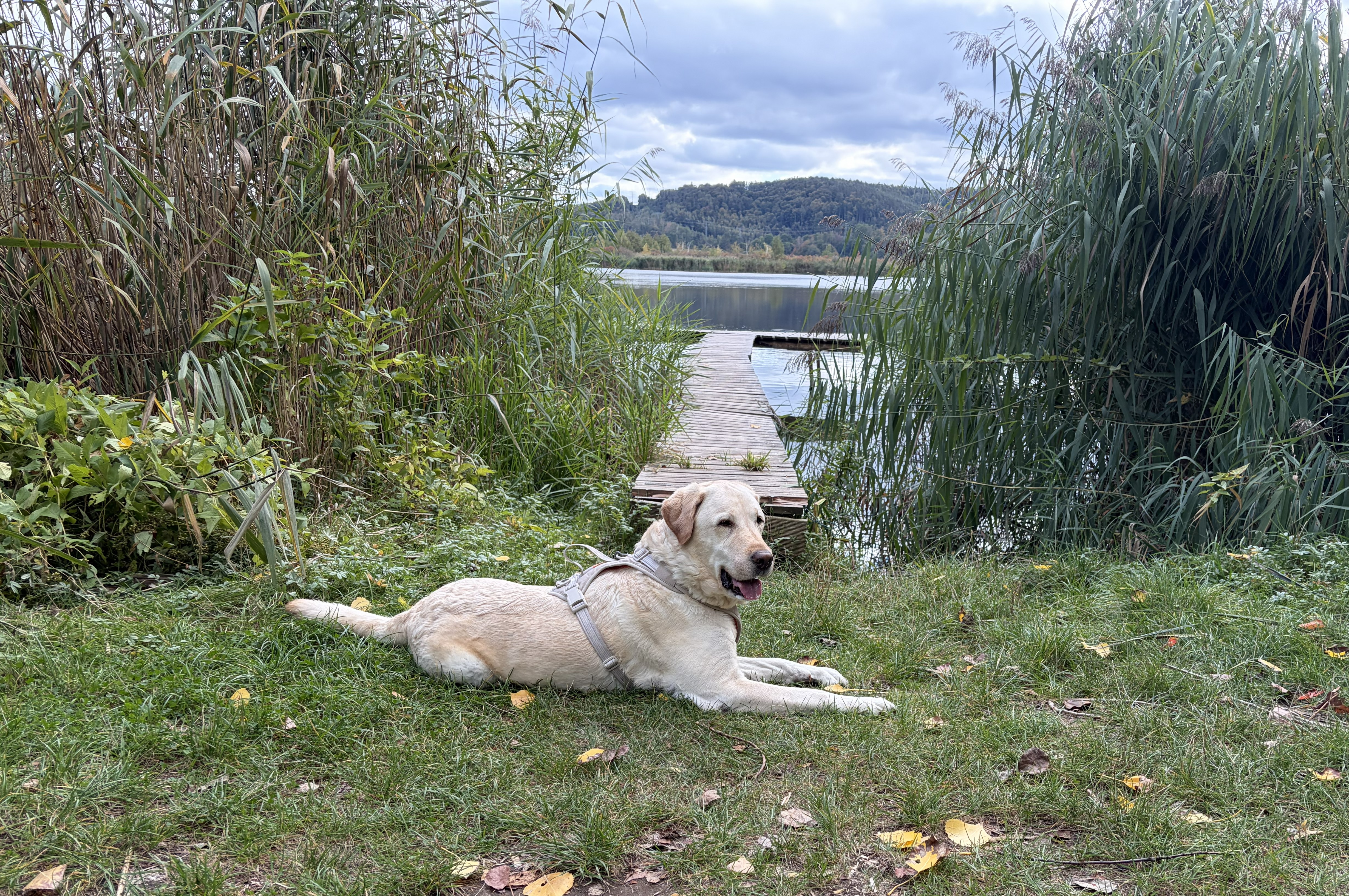 Ben auf einem Spaziergang am Wasser